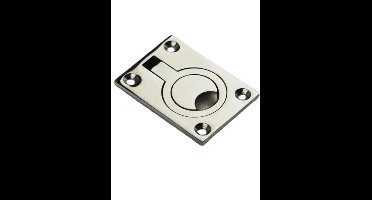 luikringen RVS mat 63x44 mm