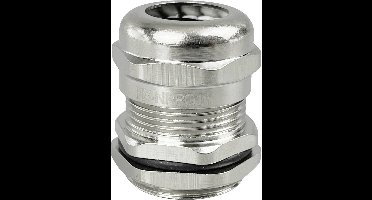 TRU COMPONENTS TC-10302884 Wartel PG16 Messing (vernikkeld) Metaal 1 stuk(s)