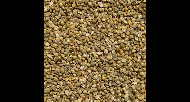 Deli Nature- Vogelvoer- Japanse Millet- 2 kilo