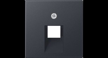 Jung Inzetplaat Schakelmateriaal - A569-1BFPLUAANM - E3655