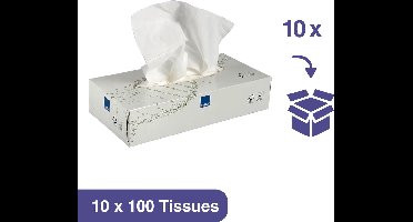 Care-Ness Facial Tissues Excellent - Tissue Box - Tissues Voordeelverpakking - 10 x 100 Tissues - 2 laags
