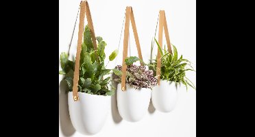 Gadgy Plantenhanger Keramiek - Set van 3 - Hangpot van Wit Steen - Hangende Bloempot Plantenpot - met 3 verschillende Koorden - 12x11x9.5CM