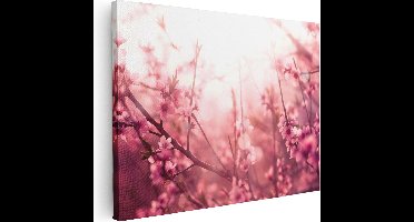Artaza Canvas Schilderij Roze Bloesemboom Met Zonneschijn - 80x60 - Foto Op Canvas - Canvas Print