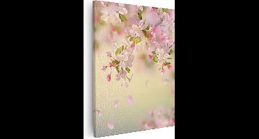Artaza Canvas Schilderij Appelbloesem - Bloemen - 40x50 - Foto Op Canvas - Canvas Print