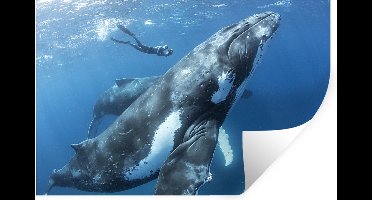 Muurstickers - Sticker Folie - Walvis - Duiker - Water - 30x20 cm - Plakfolie - Muurstickers Kinderkamer - Zelfklevend Behang - Zelfklevend behangpapier - Stickerfolie