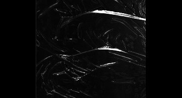 Robert Crippa - Selenic (CD)