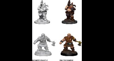 Asmodee D&D Miniatures Male Dwarf Barbarian