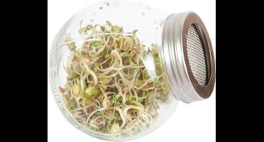 Broccolikers BIO - Kweekset + 80 gram