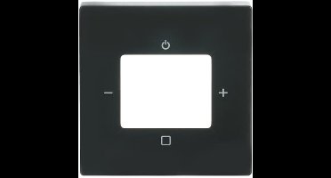 ABB Busch-Jaeger centraalplaat voor digitale radio - future linear/carat/axcent antraciet mat (8252-81-101)