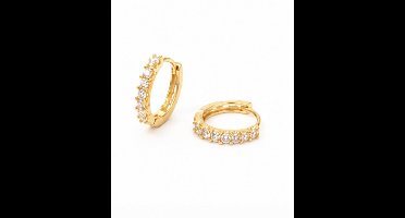 Oorbellen- Wit - Goudkleurig - Zirkonia- Verguld - Roestvrijstalen oorbellen - sieraden – Cadeau tip – Hip - Trendy