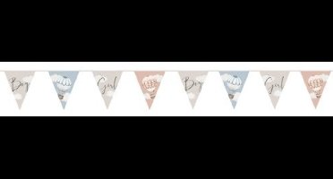 Vlaggenlijn Baby Gender Reveal - zachte kleuren