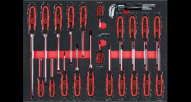 KS TOOLS SCS schroevendraaierset 29-delig in 1/1-systeem inzet - ...