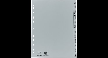 Plastic maanddividers A4 12-delig