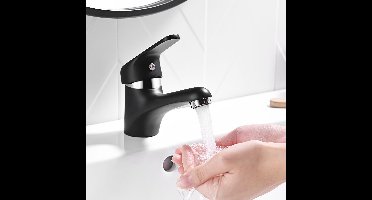 Auralum max Wastafelkraan - Badkamerkraan - Badkamer - RVS - Warm & Koud - Inclusief Aansluit slangen 3/8 - Zwart