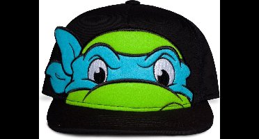 Teenage Mutant Ninja Turtles Snapback Pet Novelty Leonardo Zwart