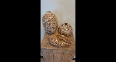 Vaas - schelp - 3 set - Bruin - Aardewerk - 15cm - Ø 11cm