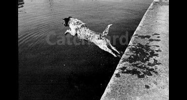 Philippe Salaun - Canal Saint-Martin - Vintage dubbele kaarten - Zwart-wit - Set van 10 kaarten met eco-katoen enveloppen