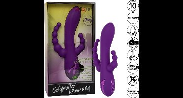 CALIFORNIA EXOTICS | Calex Long Beach Bootylicious Purple
