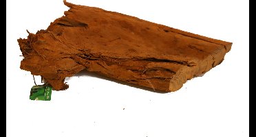 De Boon Wortelhout Large