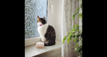 Raamfolie statisch-anti inkijk-GLC-1084