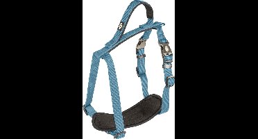 Duvoplus - Hondentuigje - Hond - Explor North Harnas Nylon Xxl 80-100cm/25mm Petrol - 1st