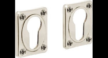 Intersteel Rozet profielcilindergat rechthoekig nikkel