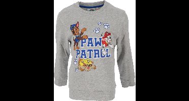 Paw Patrol Sweater