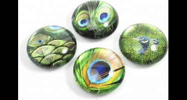 Trendform Magnet Eye - Pauw - set van 4 verschillende