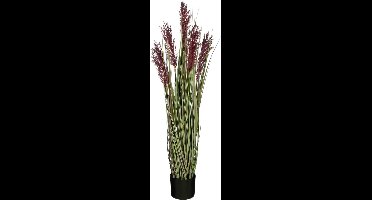 Mica Decorations Kunstplant Tarwe - 30x30x115 cm - PVC - Paars