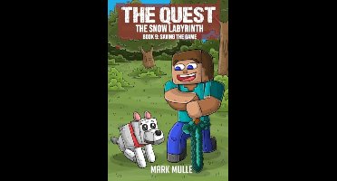 The Quest 9 - The Quest -The Snow Labyrinth Book 9