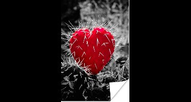 Poster Zwart-wit foto met een rode hartvormige cactus - 20x30 cm