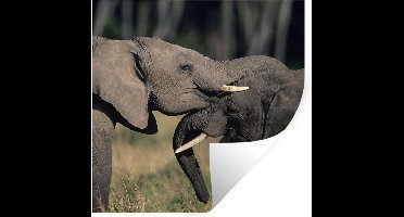 Muurstickers - Sticker Folie - Olifant - Dieren - Grijs - Natuur - 30x30 cm - Plakfolie - Muurstickers Kinderkamer - Zelfklevend Behang - Zelfklevend behangpapier - Stickerfolie