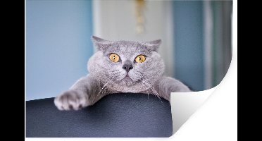 Muurstickers - Sticker Folie - Kat - Grijs - Stoel - 30x20 cm - Plakfolie - Muurstickers Kinderkamer - Zelfklevend Behang - Zelfklevend behangpapier - Stickerfolie