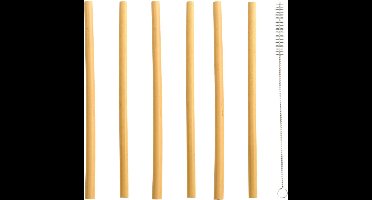 Esschert Design - biologische bamboe drinkrietjes incl. schoonmaakborstel - 6 Stuks