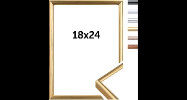 Dörr New York Kunststof fotolijst 18x24 goud