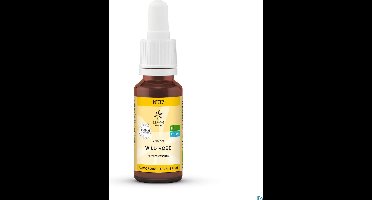 Bach Bloesem Wild oat bio 20 Milliliter