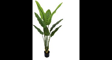 Kunstplant Strelitzia in Pot - 150 cm