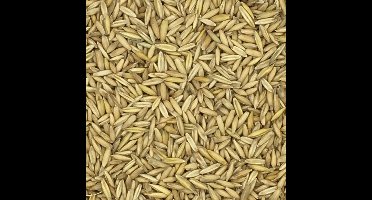 Versele Hafer | 25 kg