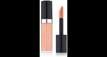 Evagarden Perfector Concealer 336
