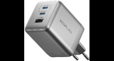EcoFlow RAPID Pro 100 W GaN-lader