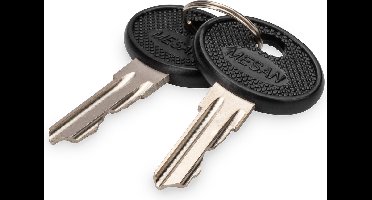 Digitus DN-19-KEY-4444 rack-toebehoren Vergrendelsleutel