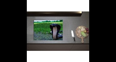Inductieplaat Beschermer - Aanvallende Zwarte Cobra Slang bij Groenkleurig Grasveld - 70x50 cm - 2 mm Dik - Inductie Beschermer - Bescherming Inductiekookplaat - Kookplaat Beschermer van Zwart Vinyl