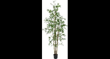 Silk-ka Kunstplant voor Binnen Bamboe Groen 245 cm