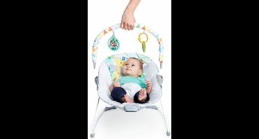 Baby Hangmat Bright Starts Safari Fun