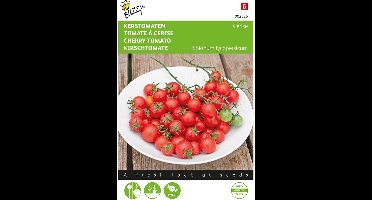 Kerstomaat Cerise