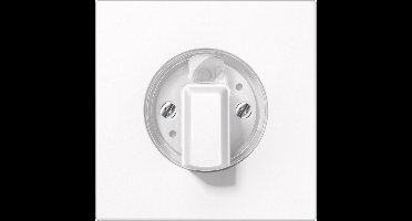 Jung LS990 Schakelelement/Centrale Plaat - LS1941WW - E3522