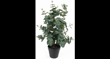 Present Time Kunstplant Eucalyptus Leaf - Groen - 25x25x54cm - Modern