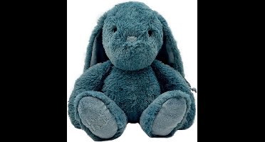 Label Label Rabbit Rosa Blauw 26 cm Knuffel