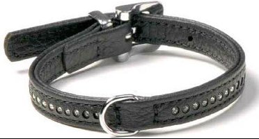 Karlie Plus Halsband Monte Carlo - 11 mm x 21 cm - Zwart