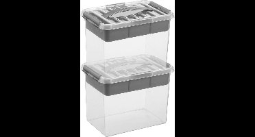 Sunware q-line opberg box/opbergdoos - 2x -met vakverdeling - tray 9 liter - transparant/zilver - 30 x 20 x 22 cm kunststof - gereedschapskist - opslagbox